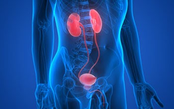 Diagnostica urologica