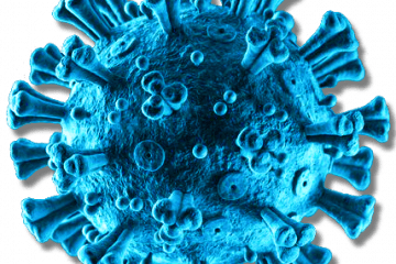 Coronavirus